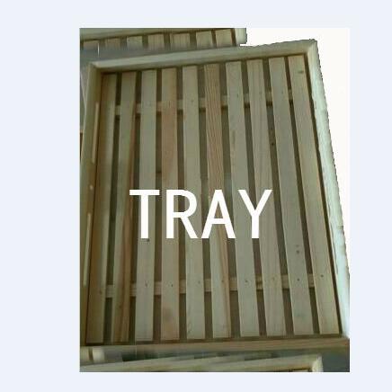 TRAY