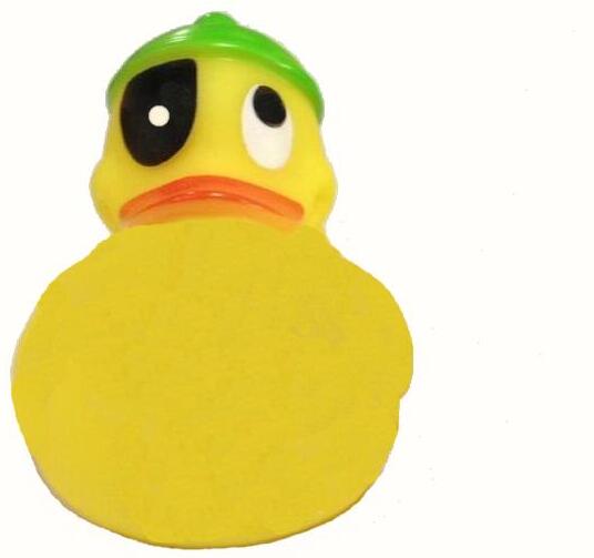 DUCK