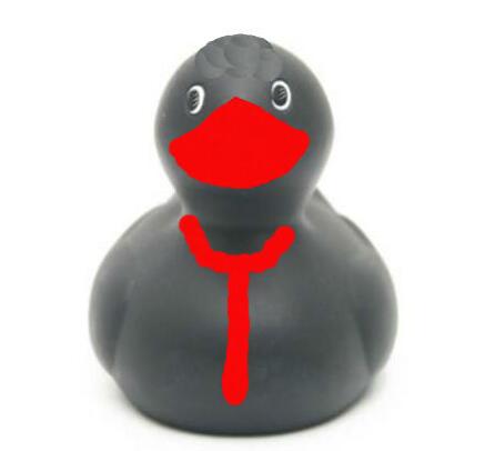 DUCK