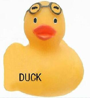 DUCK