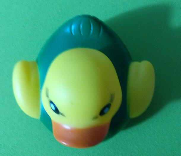DUCK